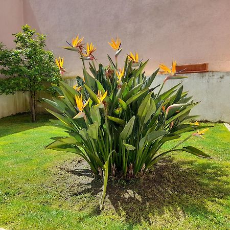 A Casa Da Avo Ana Villa Arneiro das Milharicas Eksteriør bilde