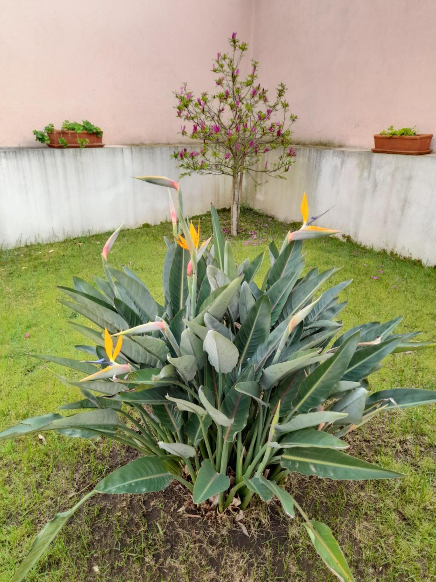A Casa Da Avo Ana Villa Arneiro das Milharicas Eksteriør bilde